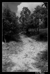 Strada di campagna Strada di campagna