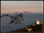 ....Capri. ....Capri.