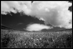 Il cielo ci guarda... Il cielo ci guarda...