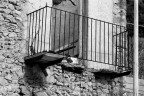 Segno del Tempo Segno del Tempo