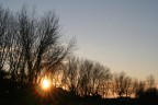 Nascosto tra gli alberi Nascosto tra gli alberi