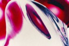 Violabstract Violabstract