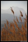 Vento...movimento... Vento...movimento...