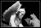 angel's reproach angel's reproach
