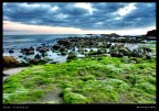 Landscape Landscape