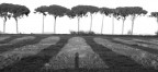 Ombre del passato Ombre del passato