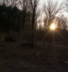 ho dovuto togliere un sacco di sporcature tra polvere e macchie...
basta scanner...vado a comprare una reflex digitale!!!

a voi la parola!!