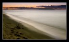 il rumore del mare il rumore del mare