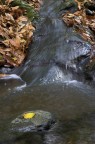 autunno autunno