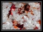 Cristalli di ghiaccio Cristalli di ghiaccio