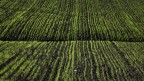 la mia terra....un libro da leggere la mia terra....un libro da leggere