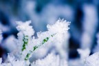 Brrrr...ina Brrrr...ina