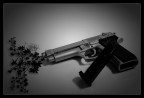 JIMMY GOT A GUN JIMMY GOT A GUN