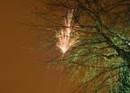 fuoco fra i rami fuoco fra i rami