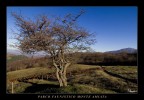 Parco Faunistico Parco Faunistico