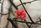 Natura Viva Natura Viva