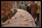 Il cammino verso l'inverno... Il cammino verso l'inverno...