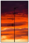Rosso Fuoco Rosso Fuoco