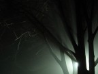 scary fog scary fog