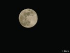 Luna piena stasera Luna piena stasera