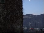 Stregato dalla luna Stregato dalla luna