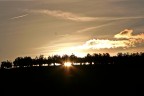 Tramonto tra gli ulivi Tramonto tra gli ulivi