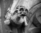 Gargoyle