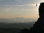 .: tramonto con aironi :. .: tramonto con aironi :.