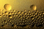 I cerchi di Saturno...(particolare) I cerchi di Saturno...(particolare)