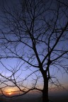 Tramonto #2 Tramonto #2