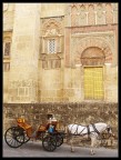Cordoba