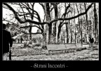 Strani incontri Strani incontri
