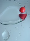 Da una goccia, la vita Da una goccia, la vita