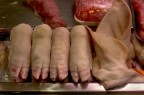 piedi ed orecchie piedi ed orecchie