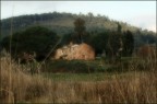 Vecchio podere in maremma Vecchio podere in maremma