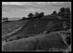 Campo arato Campo arato