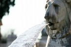 Leone Cittadino Leone Cittadino