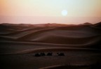 Deserto del SAHARA....alle prime ore del giorno.....