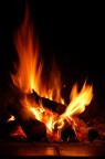 Calcifer Calcifer