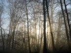 Controluce... Controluce...