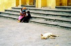 Mexico: perro en siesta