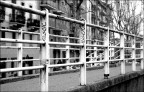 Griglia urbana Griglia urbana