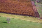Pendenze naturali Pendenze naturali
