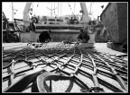 Pescatori Pescatori