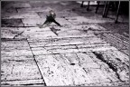 Al volo Al volo