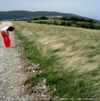 filename: 2006-08-20_2462