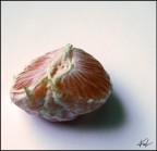 orange orange