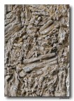 Particolare - Giardini Minerva - SA -