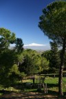 *Etna* *Etna*