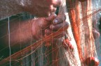 cucito...da pesca cucito...da pesca